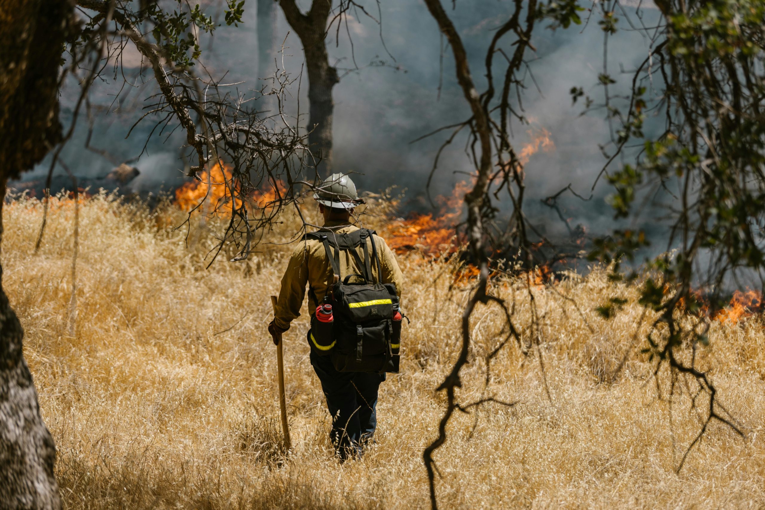 Examen Bombero Forestal de la Xunta de Galicia 2026 en Silleda