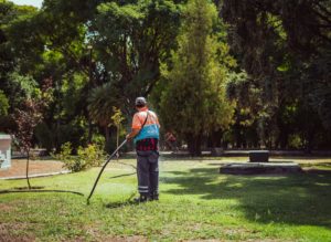 Peon Parques y jardines