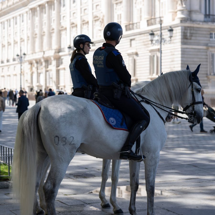 fuerzas y cuerpos seguridad